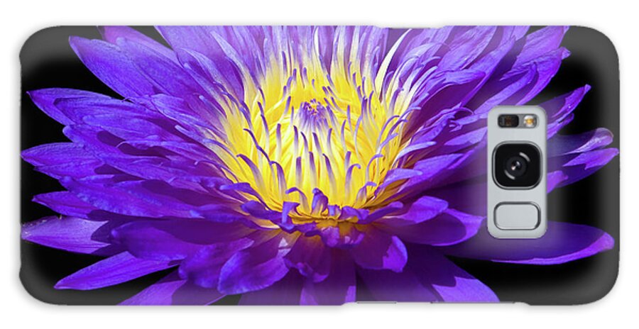 Flower Galaxy Case featuring the photograph Purple Water Lily by Steve Stuller