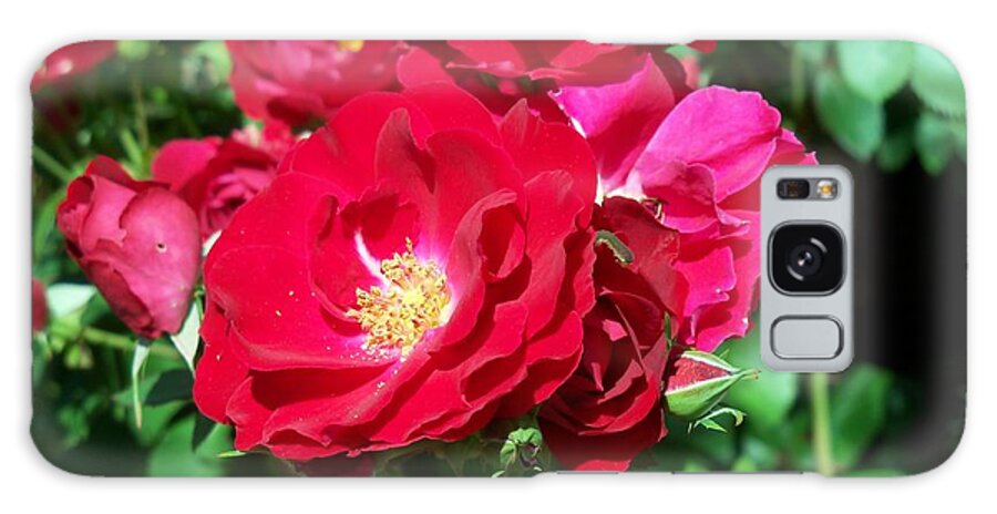 Rose Galaxy Case featuring the photograph Red Roses by Corinne Elizabeth Cowherd