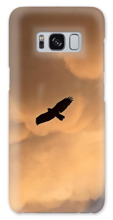 Red-tailed Hawk Galaxy Case featuring the photograph Red-tailed Hawk in flight in Saskatchewan by Mark Duffy