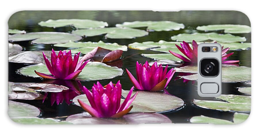 Red Water Lillies Galaxy S8 Case featuring the photograph Red Water Lillies by Bill Cannon