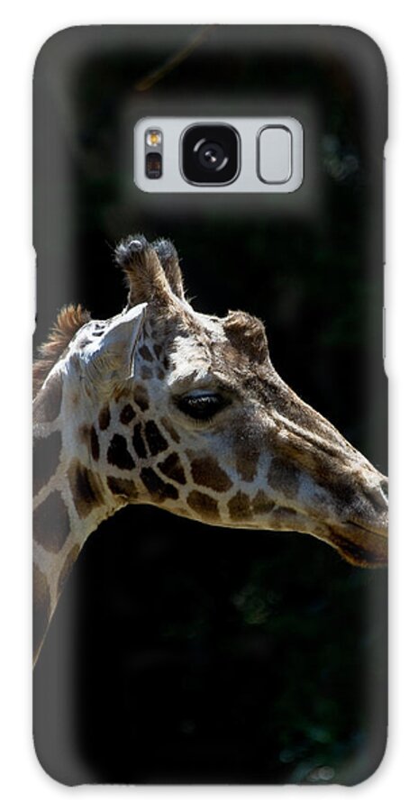 Animals Galaxy S8 Case featuring the photograph Reflection Time by Roger Mullenhour