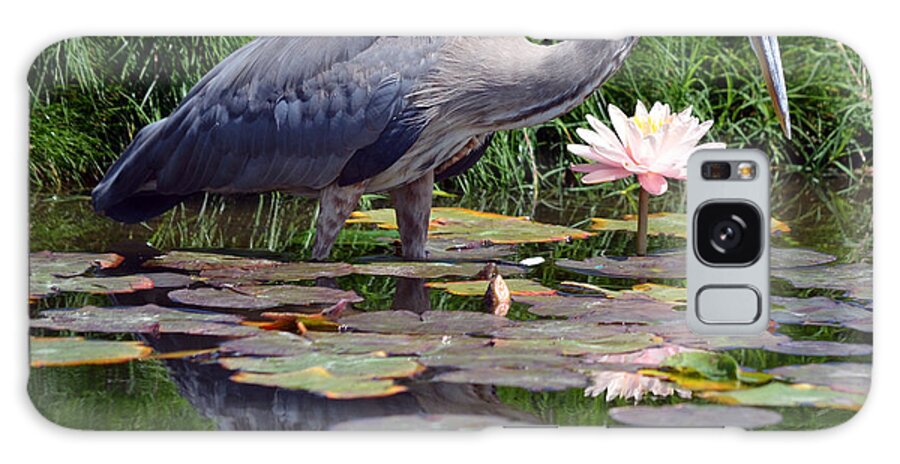 Great Blue Heron Galaxy Case featuring the photograph Reflections At Lilly Pond by Fraida Gutovich