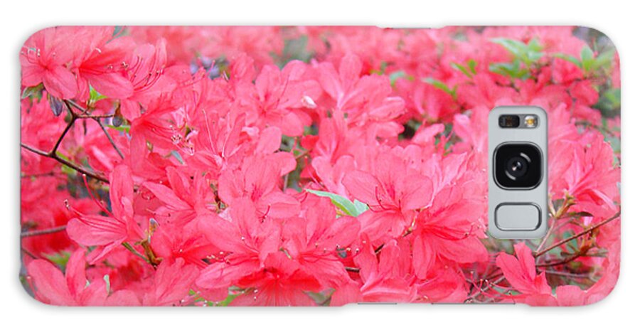 Rhodies Galaxy Case featuring the photograph Rhodies art prints Pink Rhododendrons Floral by Patti Baslee