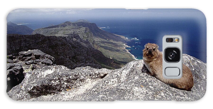 Mp Galaxy Case featuring the photograph Rock Hyrax Procavia Capensis Resting by Gerry Ellis