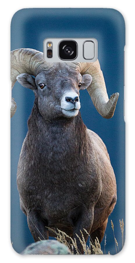 2012 Galaxy Case featuring the photograph Rocky Mountain Big Horn by Ronald Lutz