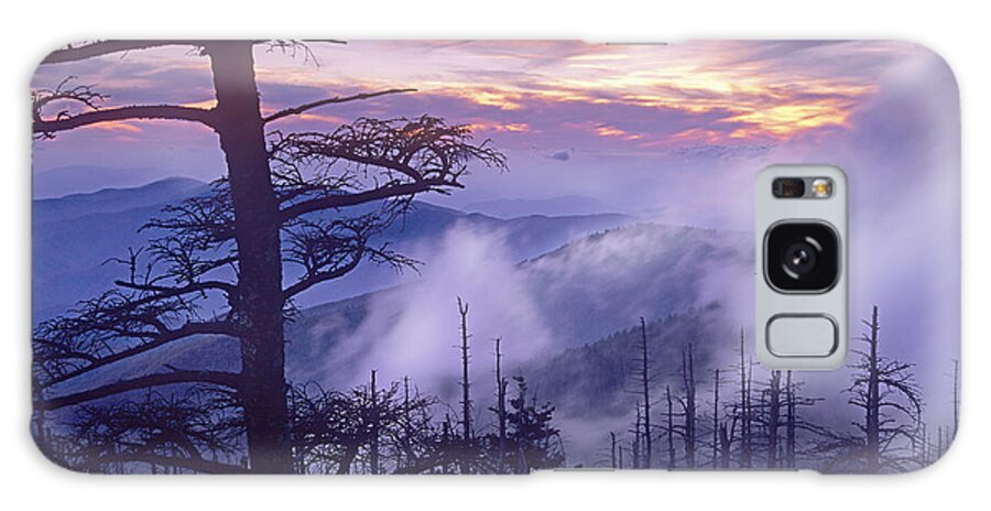 00175732 Galaxy Case featuring the photograph Rolling Fog On Clingmans Dome Great by Tim Fitzharris