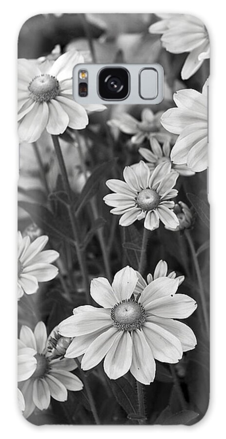 Nature Galaxy Case featuring the photograph Rudbeckia Hirta by Michael Friedman