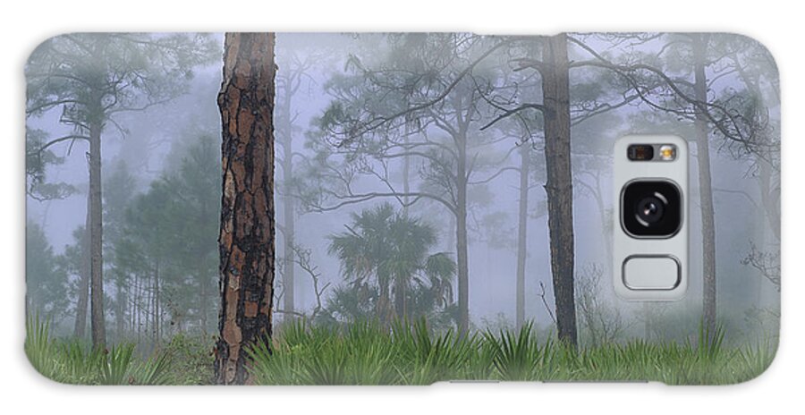 00175095 Galaxy Case featuring the photograph Saw Palmetto And Pine In Fog by Tim Fitzharris