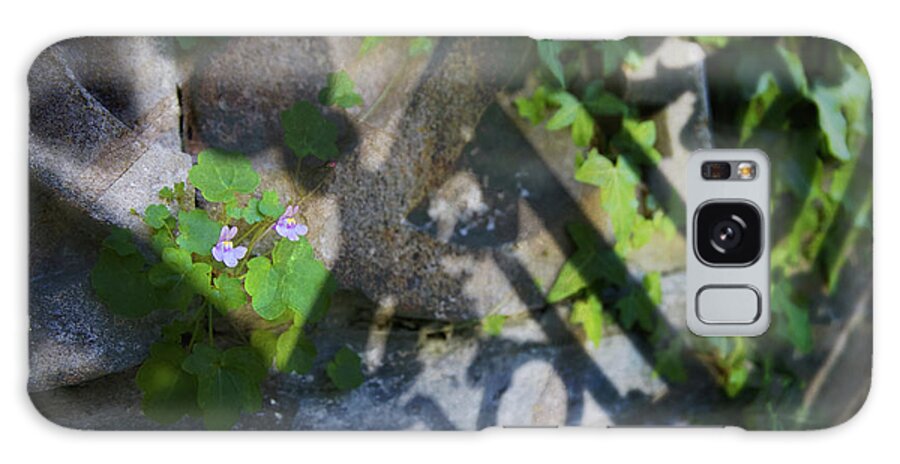 Floral Galaxy Case featuring the photograph Shadow Garden by Richard Piper