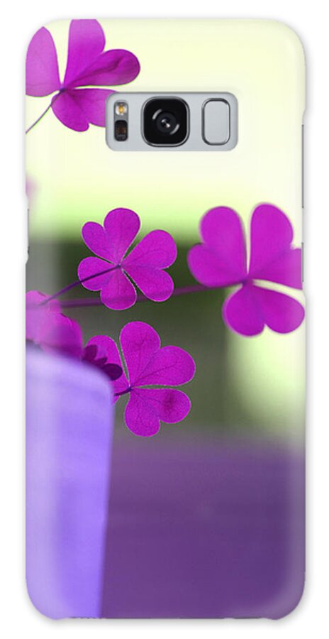 17 Galaxy Case featuring the photograph Shamrock Pot IV by Emanuel Tanjala