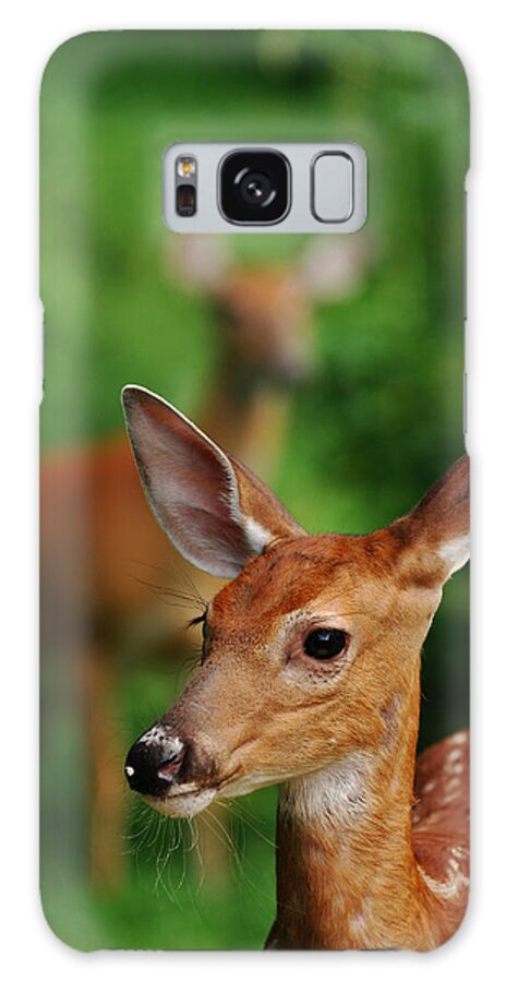 Deer Galaxy Case featuring the photograph Someone to Watch Over Me by Lori Tambakis