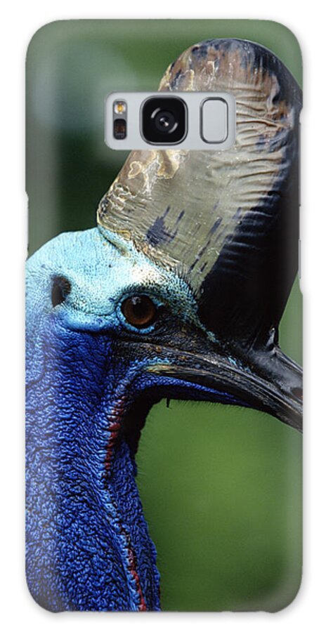 Mp Galaxy Case featuring the photograph Southern Cassowary Casuarius Casuarius by Konrad Wothe