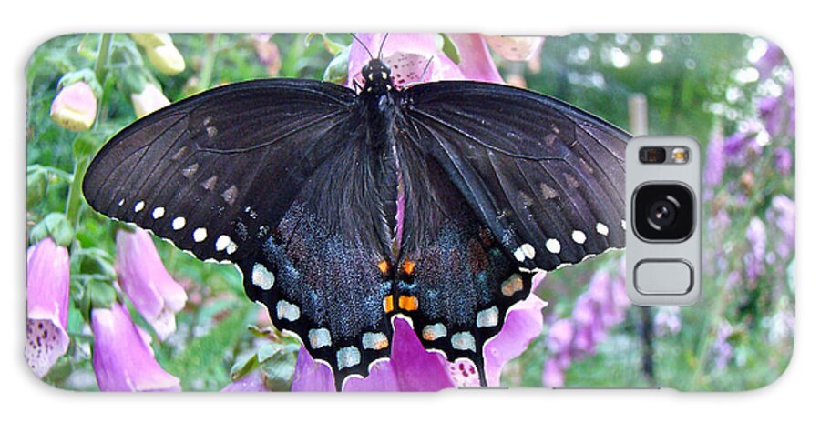 Butterfly Galaxy Case featuring the photograph Spicebush Swallowtail Butterfly on Foxgloves - Papilio troilus by Carol Senske