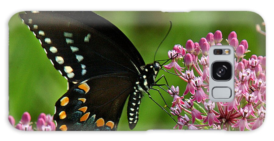 Nature Galaxy Case featuring the photograph Spicebush Swallowtail DIN039 by Gerry Gantt
