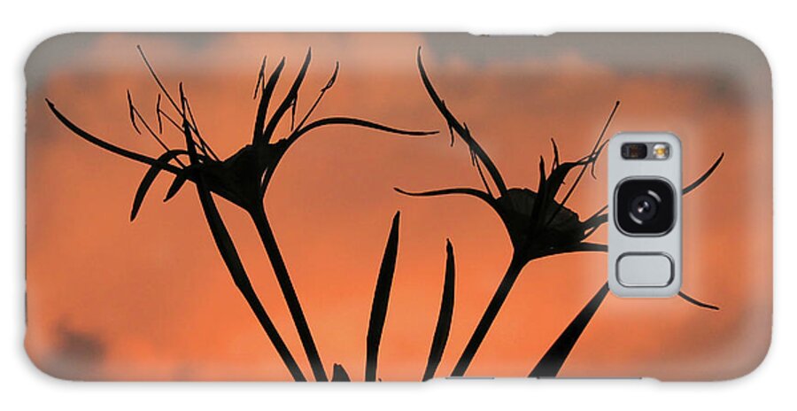 Nature Galaxy Case featuring the photograph Spider Lilies at Sunset by Peggy Urban