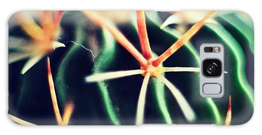 Plant Galaxy Case featuring the photograph #spikes #green #plant #igaddict by Ritchie Garrod