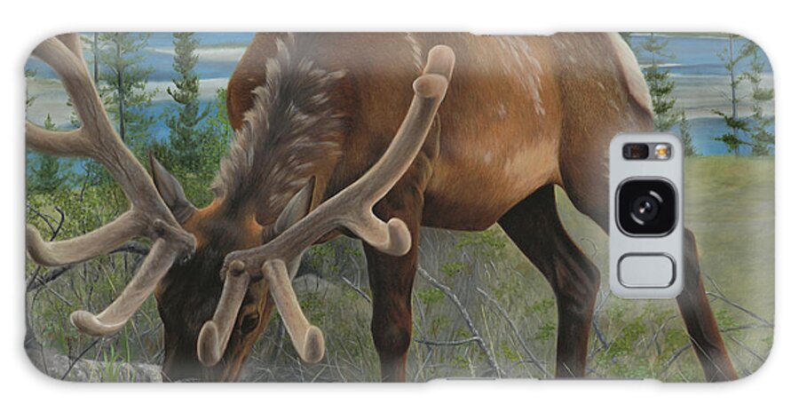 Elk Galaxy Case featuring the painting Spring Gazing by Tammy Taylor