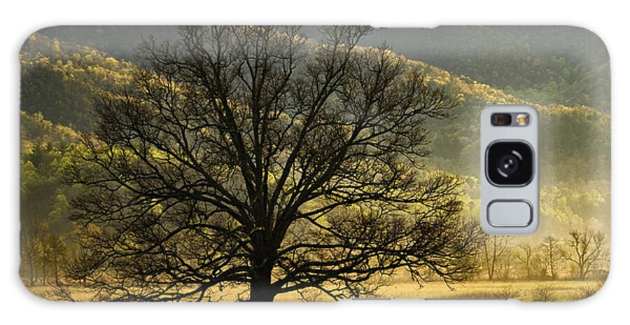 Morning Galaxy Case featuring the photograph Spring Morning in Cades Cove - D003803a by Daniel Dempster