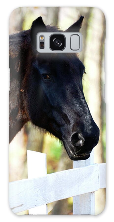 Horse Galaxy Case featuring the photograph Stallion by La Dolce Vita