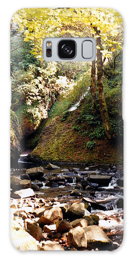 Forest Galaxy Case featuring the photograph Stream Bed Oregon by Maureen E Ritter