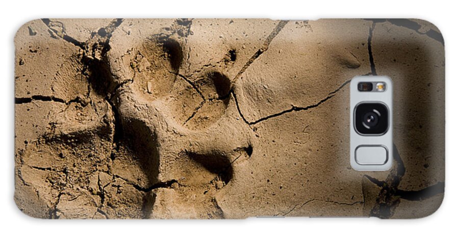 00481418 Galaxy Case featuring the photograph Striped Hyena Footprint In Cracked Mud by Sebastian Kennerknecht