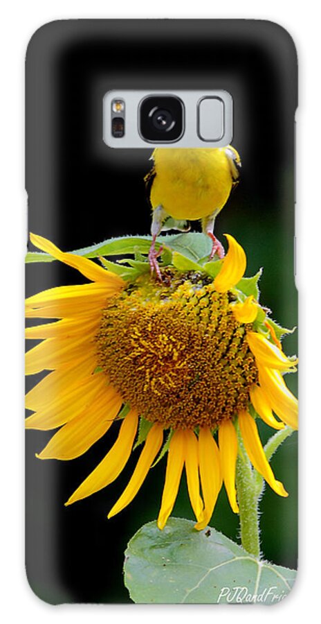  Galaxy Case featuring the photograph 'Sunflower Meets Goldfinch' by PJQandFriends Photography