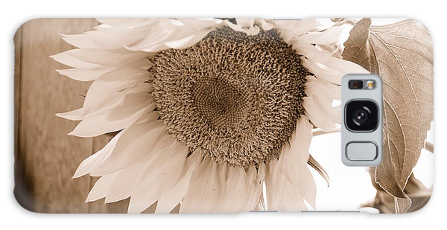 Jma Galaxy Case featuring the photograph SUNFLOWER No. 1 IN SEPIA by Janice Adomeit