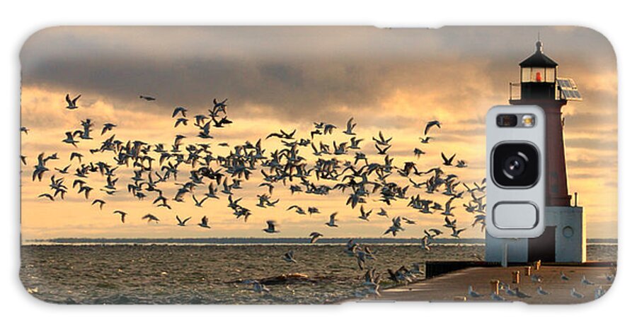  Galaxy Case featuring the photograph Sunrise Seagulls 219 by Mark J Seefeldt