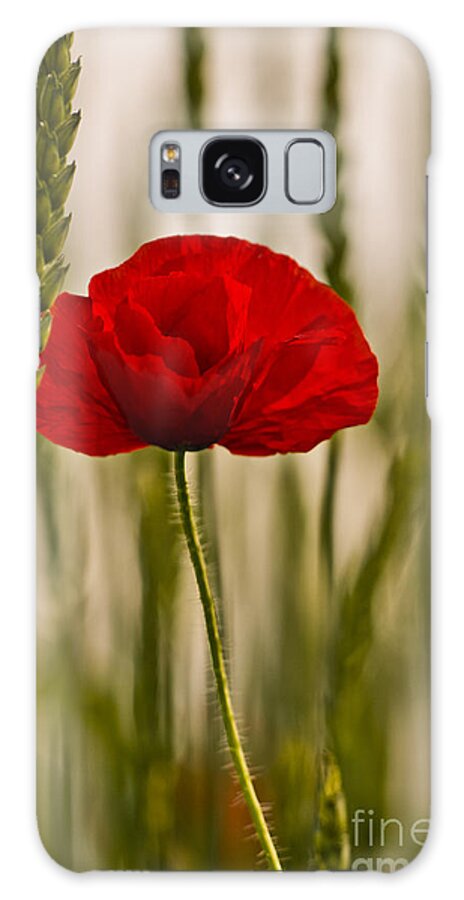 Poppy Galaxy Case featuring the photograph Sunset glow. by Clare Bambers