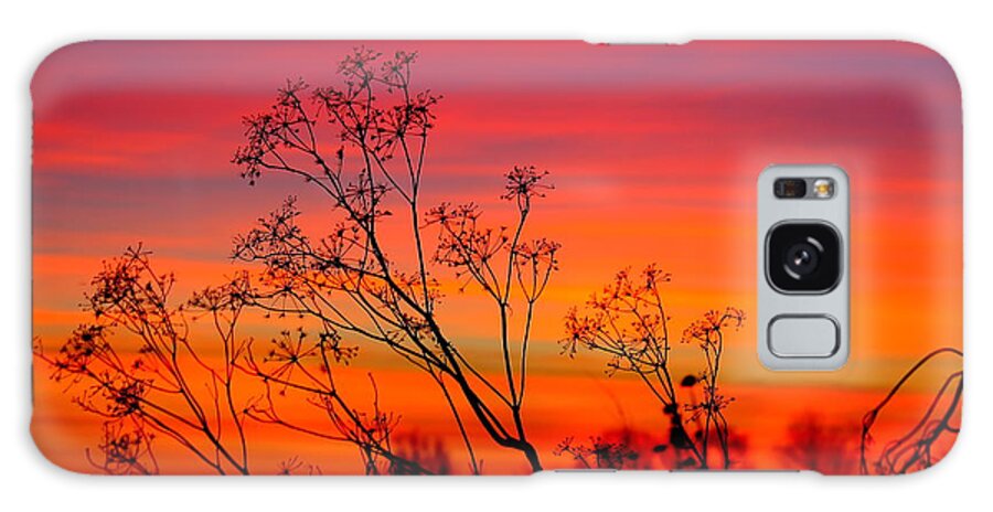 Sunset Galaxy S8 Case featuring the photograph Sunset Silhouette by Patrick Witz