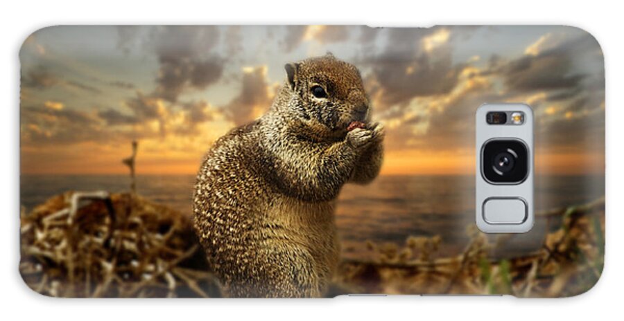 Sunset Galaxy Case featuring the photograph Sunset Squirrel by Daniel Knighton