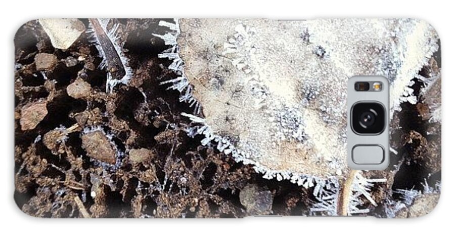  Galaxy Case featuring the photograph Surreal Frost by Chris Davis