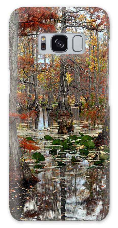 Swamp Galaxy Case featuring the photograph Swamp In Fall by Marty Koch