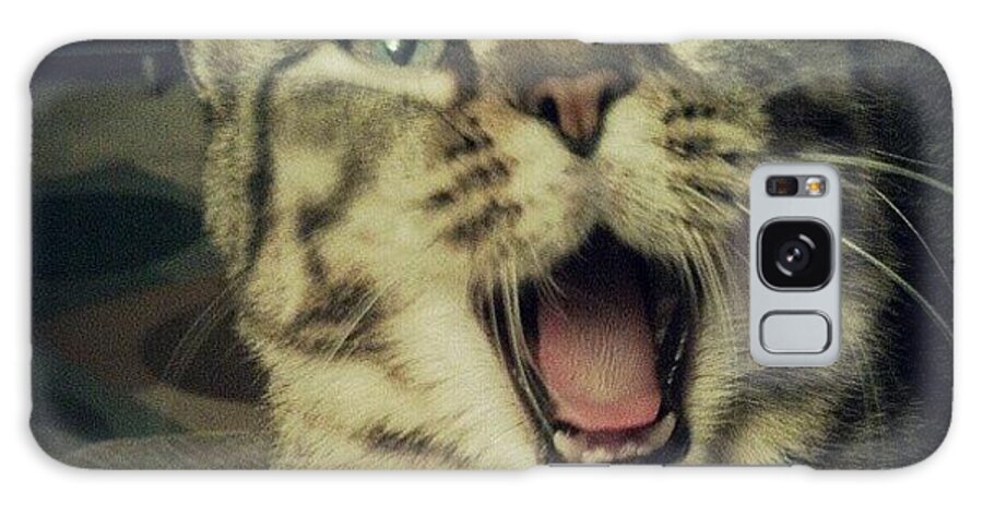 Petstagram Galaxy Case featuring the photograph That Awkward Yawn Moment.
#cat #cats by Bob Ralston