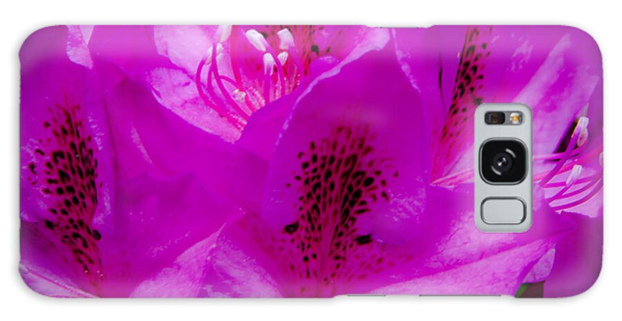 Rhododendron Galaxy Case featuring the photograph The Beautiful Rhododendron by David Patterson