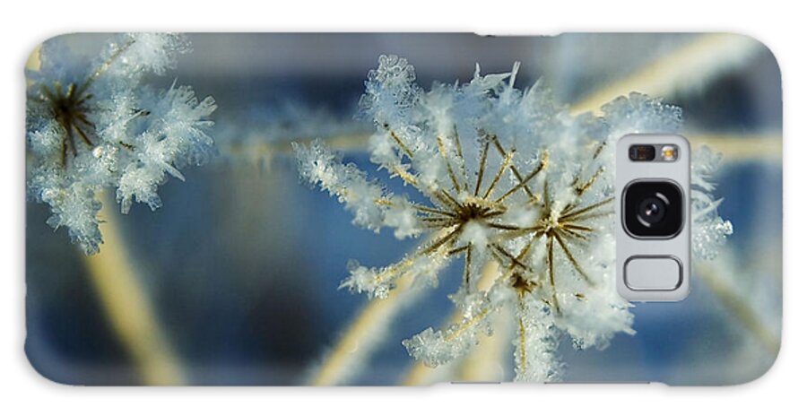 Ice Galaxy Case featuring the photograph The Beauty of Winter by Ellen Heaverlo