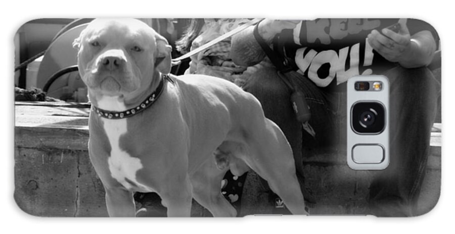 Staffordshire Bull Terrier Galaxy Case featuring the photograph The Pit by Marysue Ryan