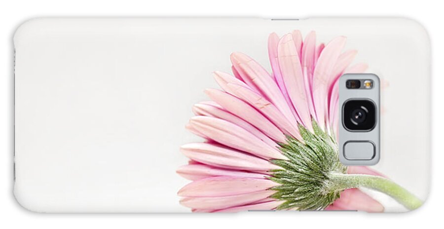 Flower Galaxy Case featuring the photograph Thoughts So Tender by Evelina Kremsdorf