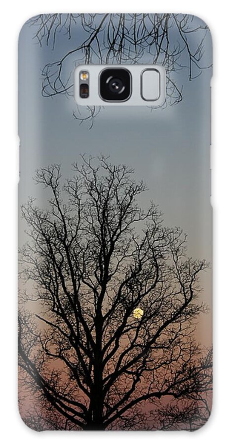 Sunset Galaxy Case featuring the photograph Through the Boughs portrait by Dan Stone