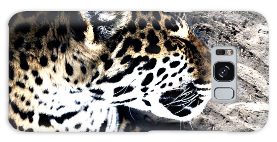  Galaxy Case featuring the photograph Time For A Snooze by Bob Johnson