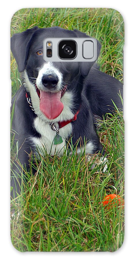 Dogs Galaxy Case featuring the photograph Time out in the Grass by Randy Harris