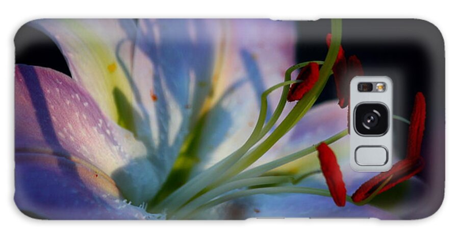 Lily Galaxy Case featuring the photograph Tiny Ray of Sunshine by Patrick Witz