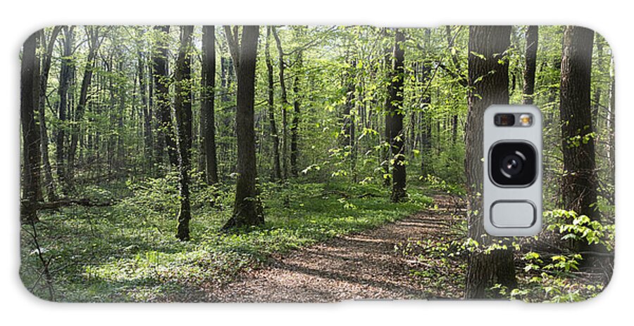 00465681 Galaxy Case featuring the photograph Trail Through Spring Forest Bavaria by Konrad Wothe