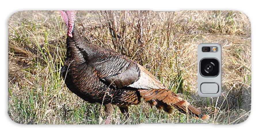 Turkey Galaxy Case featuring the photograph Turkey in the Straw by Dorrene BrownButterfield