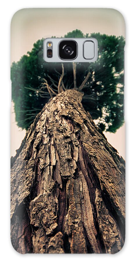 Tree Galaxy Case featuring the photograph Up From The Depths by Evelina Kremsdorf