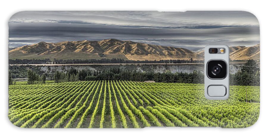 00441046 Galaxy Case featuring the photograph Vineyard Awatere Valley Near Seddon by Colin Monteath