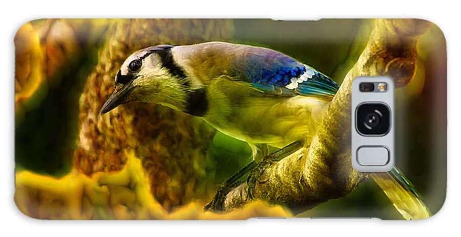 Blue Jay Galaxy Case featuring the photograph Visions of a Blue Jay by Bill and Linda Tiepelman