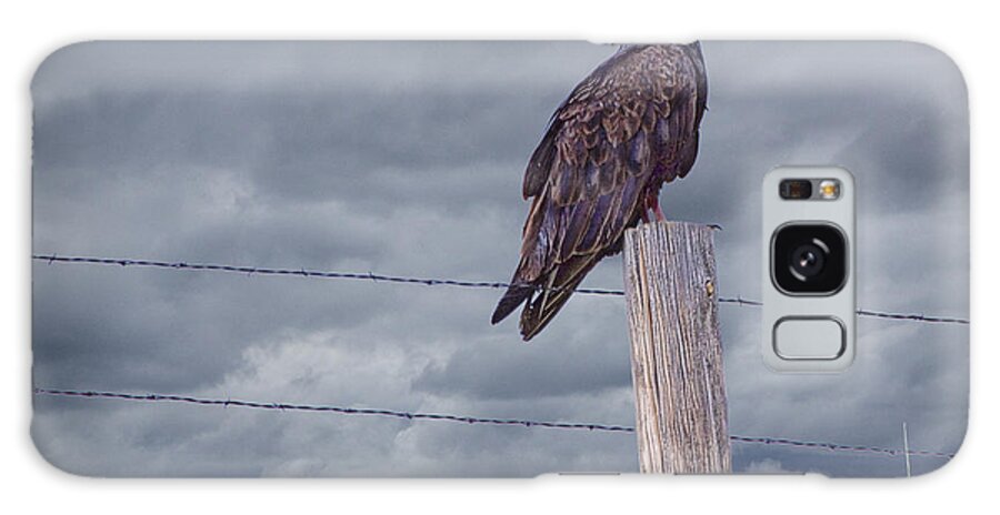 Art Galaxy Case featuring the photograph Vulture sitting on a Fence Post by Randall Nyhof
