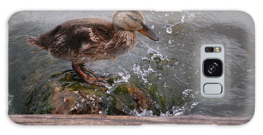 Duckling Galaxy Case featuring the photograph Wading by Grace Grogan