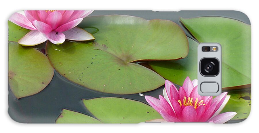 Water Galaxy Case featuring the photograph Waterlillies by Tim Nyberg